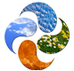 Elements Counseling logo, with images of earth, air, fire, and water