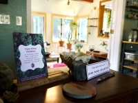 The front desk area at Open Mind Holistics, with bright waiting area with windows and lots of sunlight