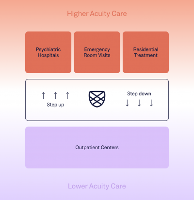 Flyer describing the level of care for Charlie Health